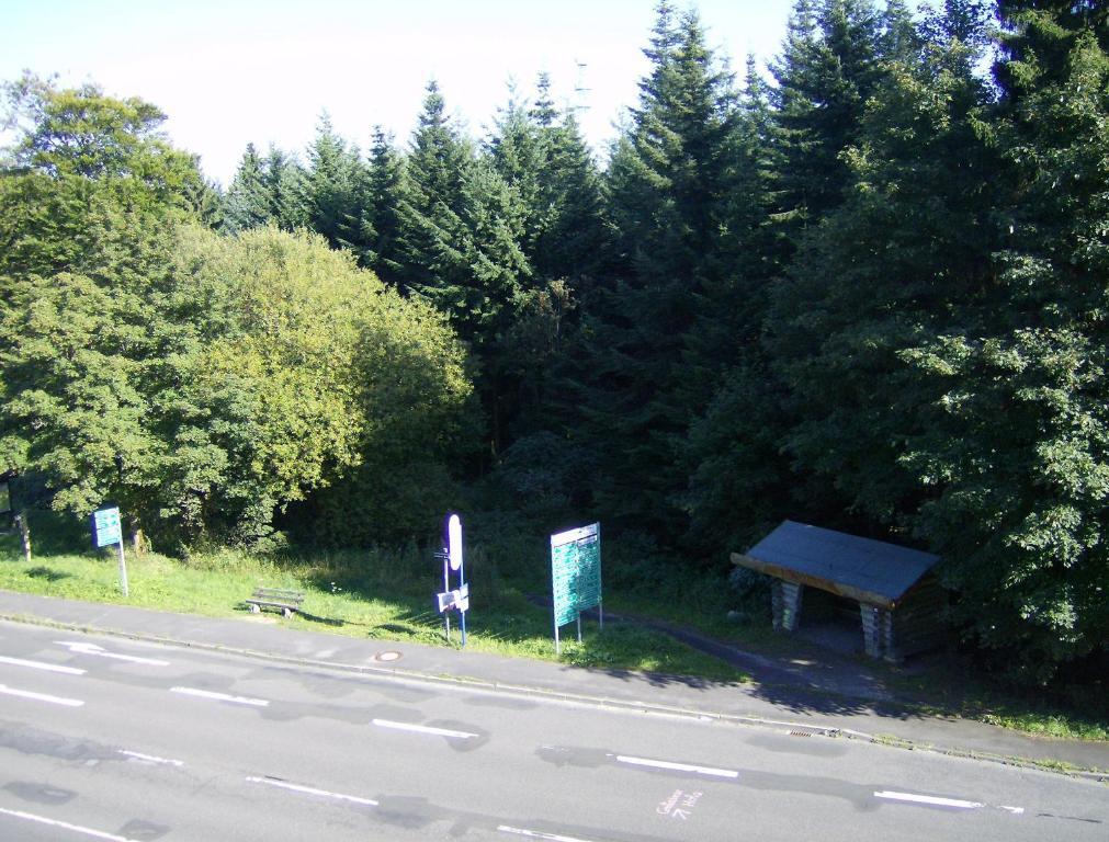 Hotel Sandplacken Schmitten Exteriör bild