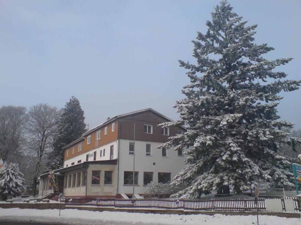 Hotel Sandplacken Schmitten Exteriör bild